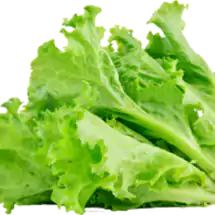 Salat